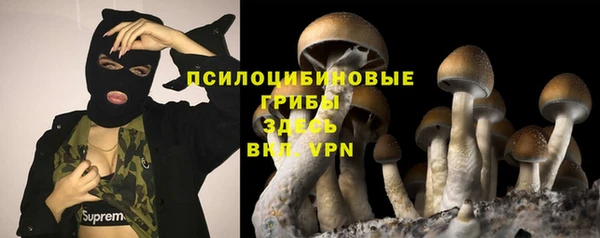дмт Нефтекумск